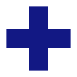 SEGURO salud